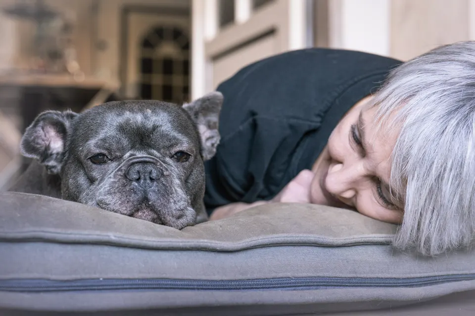 Bulldog slaapt naast Els op het kussen